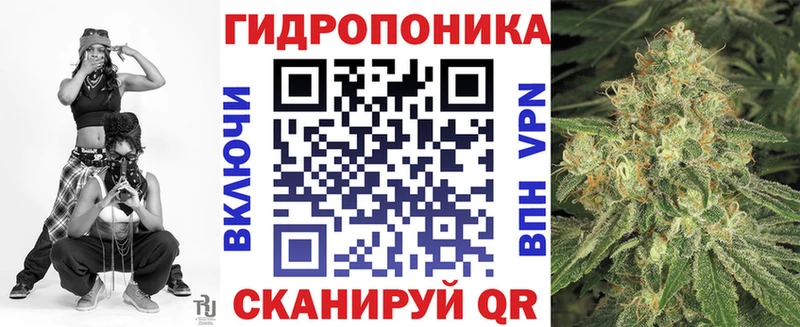 Марихуана White Widow  где можно купить наркотик  Касли 